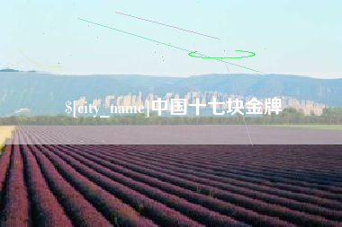 清远中国十七块金牌