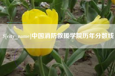 清远中国消防救援学院历年分数线