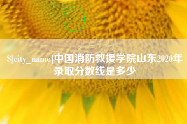 清远中国消防救援学院山东2020年录取分数线是多少