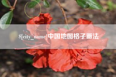 清远中国地图格子画法