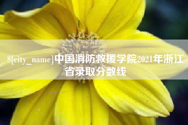 清远中国消防救援学院2021年浙江省录取分数线