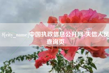 清远中国执政信息公开网-失信人员查询页