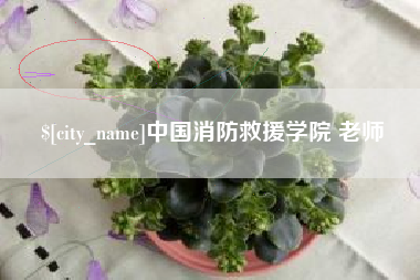 清远中国消防救援学院 老师
