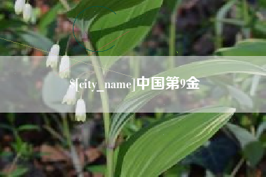 清远中国第9金