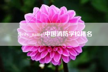 清远中国消防学校排名