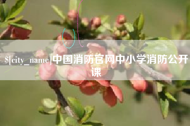 清远中国消防官网中小学消防公开课
