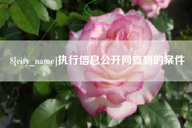 清远执行信息公开网查到的案件