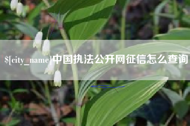 清远中国执法公开网征信怎么查询
