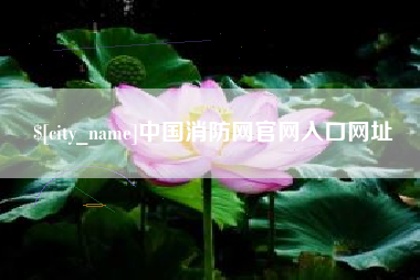 清远中国消防网官网入口网址