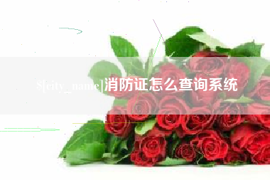 清远消防证怎么查询系统