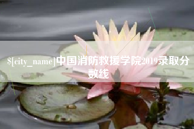 清远中国消防救援学院2019录取分数线