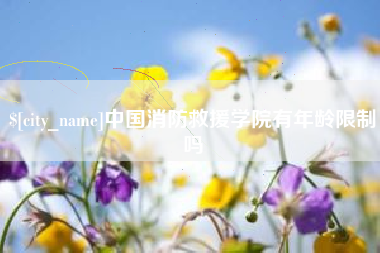 清远中国消防救援学院有年龄限制吗