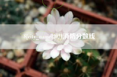 清远2021消防分数线