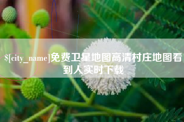 清远免费卫星地图高清村庄地图看到人实时下载