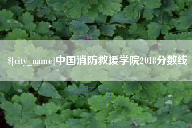 清远中国消防救援学院2018分数线