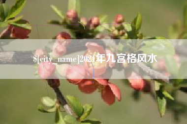 清远2021年九宫格风水