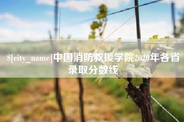 清远中国消防救援学院2020年各省录取分数线