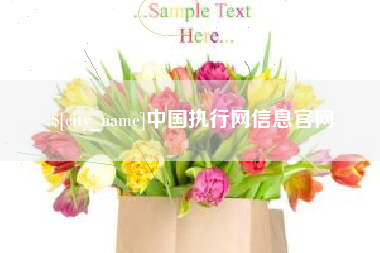 清远中国执行网信息官网