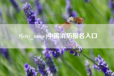 清远中国消防报名入口