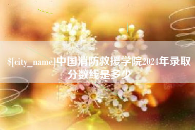 清远中国消防救援学院2024年录取分数线是多少