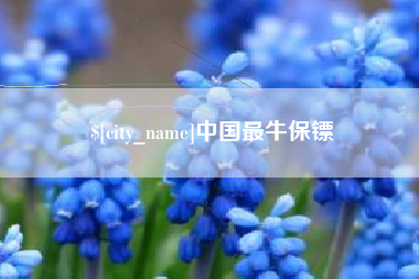 清远中国最牛保镖