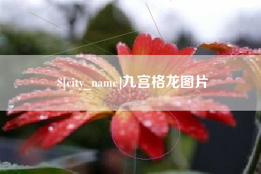 清远九宫格龙图片
