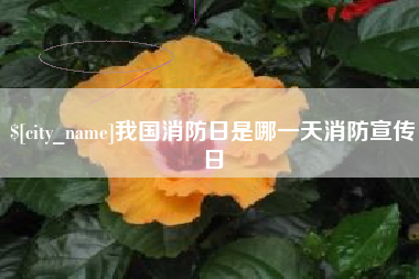 清远我国消防日是哪一天消防宣传日