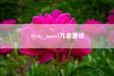 清远九金是谁