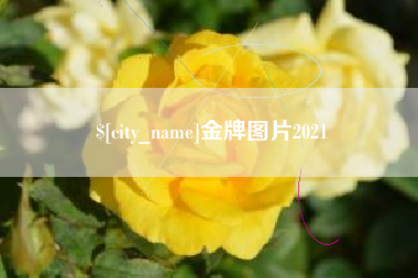 清远金牌图片2021