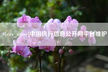 清远中国执行信息公开网平台维护