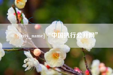 清远“中国执行公开网”