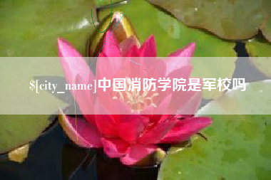 清远中国消防学院是军校吗