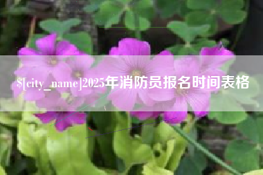 清远2025年消防员报名时间表格