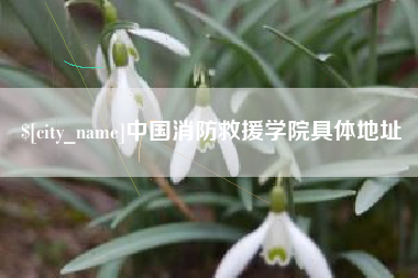 清远中国消防救援学院具体地址