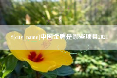 清远中国金牌是哪些项目2021