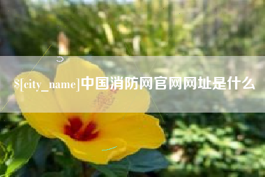 清远中国消防网官网网址是什么