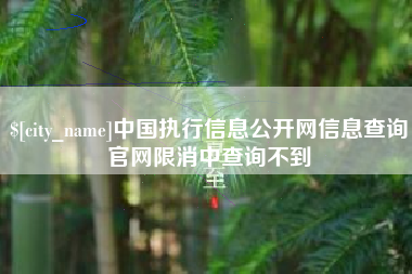 清远中国执行信息公开网信息查询官网限消中查询不到