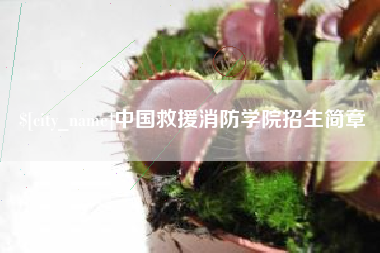 清远中国救援消防学院招生简章