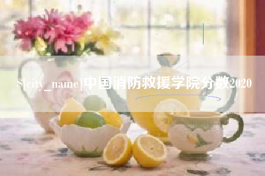 清远中国消防救援学院分数2020