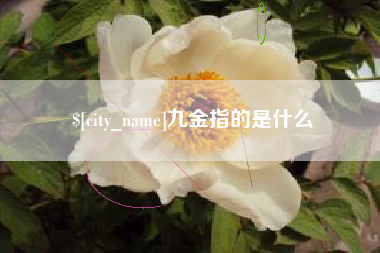 清远九金指的是什么