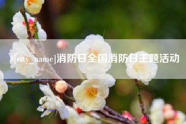 清远消防日全国消防日主题活动