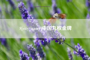 清远中国九枚金牌
