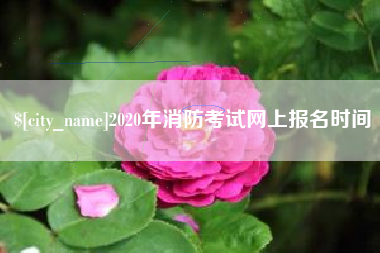 清远2020年消防考试网上报名时间