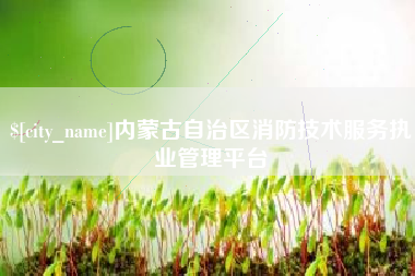 清远内蒙古自治区消防技术服务执业管理平台