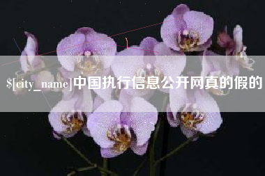 清远中国执行信息公开网真的假的