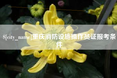 清远重庆消防设施操作员证报考条件