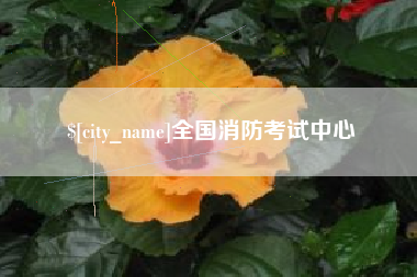 清远全国消防考试中心