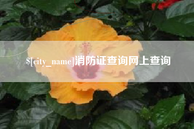 清远消防证查询网上查询