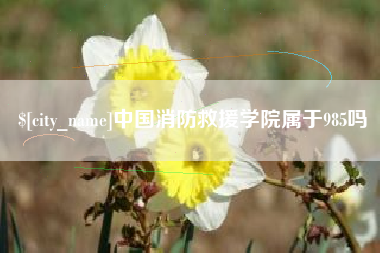 清远中国消防救援学院属于985吗