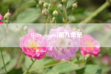清远第九金是